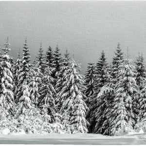 Tablou pe panză 30 x 30 cm, Peisaj iarna in muți
